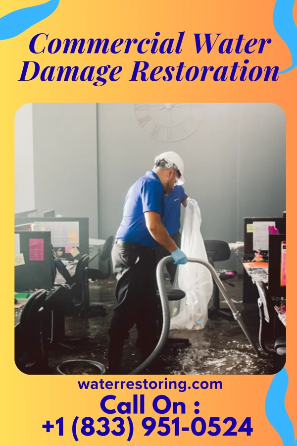 Commercial Water Damage Restoration in Mercedes, TX